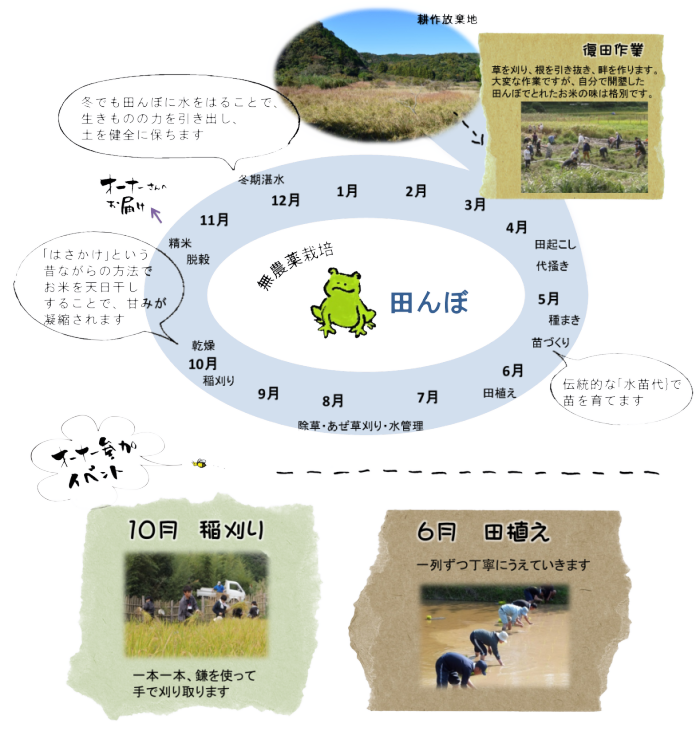 田んぼの1年